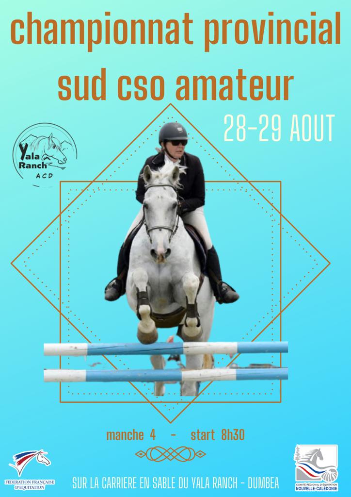 AFFICHE CSO 4 acd